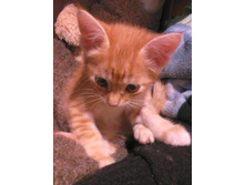 ��� 2 ������.jpg