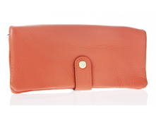 655 �������.JPG