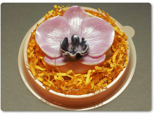 ���� ������� - �������