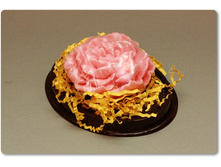 ���� ���� - �������