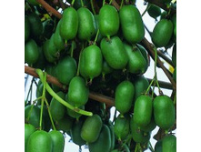 ��������� ������ �����.jpg