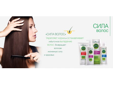 ��� �����