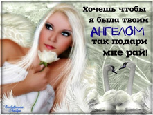 ������ ���.jpg