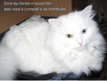 � ������� � �� ��������.jpg