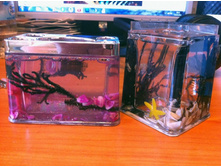 IMG_0571_����� ������.JPG