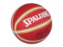 Spalding Lebron James - 415�.jpg