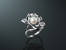 �-5040-�65  2737p.png