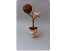 ������� - �������