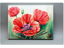 ���� - �������