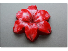 ����� - �������