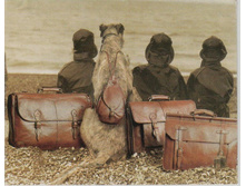 ������� (10) copy.jpg