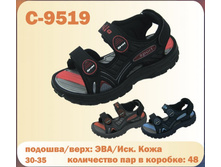 C-9519.jpg