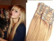 ���� ����������� ����� №16