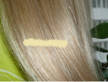 ���� № 12H613 ������-����� ������������