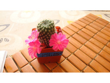 �������(R N1.JPG)