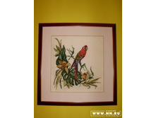 �������