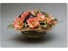 ����� � ���� - �������