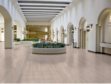 ��� �������� (3-� ��������) � ���������..jpg