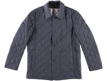 216109 �����