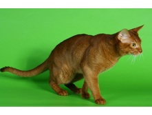 1 ����������� 166.jpg