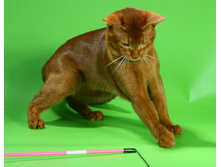 2 ����������� 191.jpg