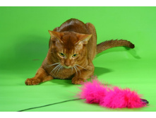 3 ����������� 190.jpg