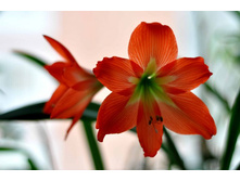 ���� �������� 31.03.14