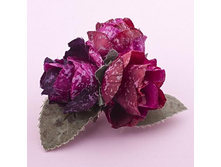 ������� ������,107 ���..jpg