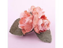 ������� ����� ������,107 ���..jpg