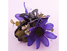 ���� ������.172 ���..jpg