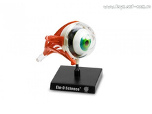 ��������� ���: ����_E2370EE_����_340,83 ���.