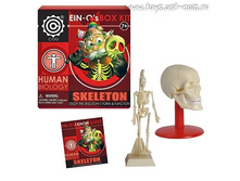 ��������� ���: ������ � �����_E2381NSS_����_400,85 ���.