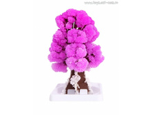 ������� ����� "��������� ������" (���������)_BCR1001-101_����_75,64 ���.