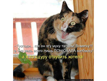 ����! ������ ��������!