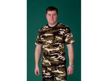 �������� � 009 (��������)