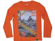 �������� � ������� ������� 346265 240,0.jpg