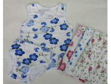 �����+����� �����  62���  �-�26