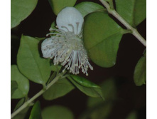 ���� ���.jpg