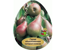 ����� �������� ������� (������������, ������-������, ��������� �������).jpg