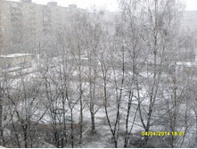 4 ������ 2014