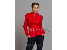 2078 �������.jpg