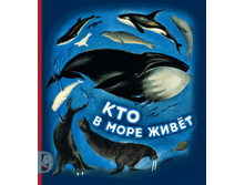 ��� � ���� �����.png