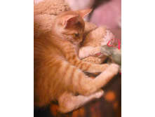 ����� 3 ������.jpg