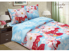 ��������� ���� ����� � �� ��.jpg