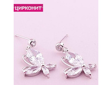 ������ ������, 269 ���..jpg