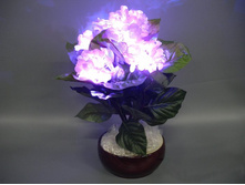 001 PYH PP (��������� 45 ��) ���� 1178,4�.JPG