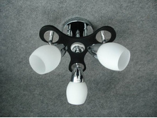 326-3 CR ���� 828�.JPG