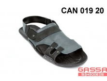 800�. �������CAN-019-20