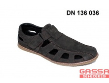 1450�. �������DN-136-036