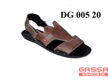800�. �������DG-005-20